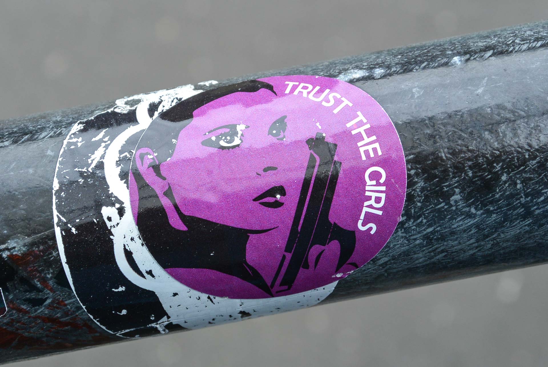 Fotoexkursion am Hawerkamp 034